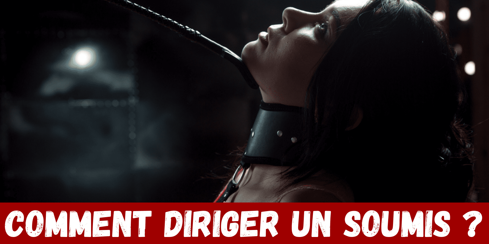 Comment diriger un soumis