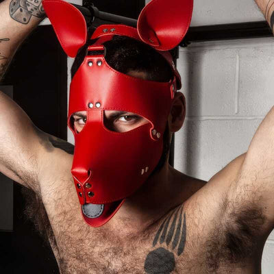 Masque BDSM Chien