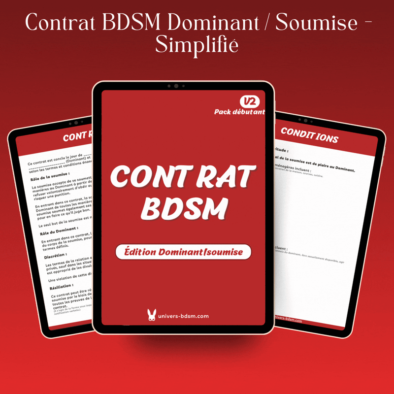 Contrat BDSM Dominant/soumise - Simplifié