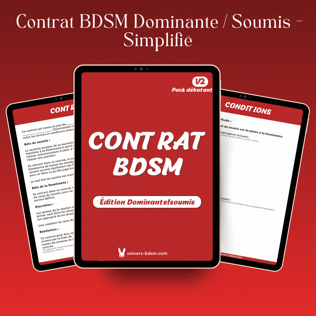 Contrat BDSM Dominante/soumis - Simplifié