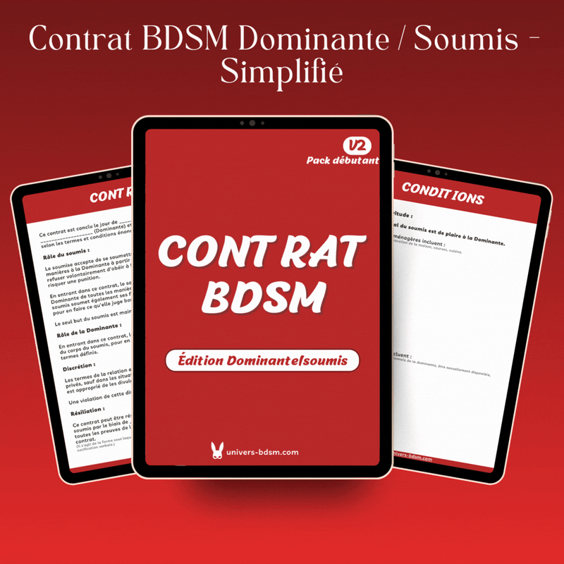Contrat BDSM Dominante/soumis - Simplifié