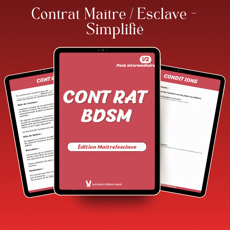 Contrat Maître/esclave - Simplifié