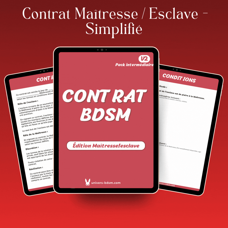 Contrat Maîtresse/esclave - Simplifié