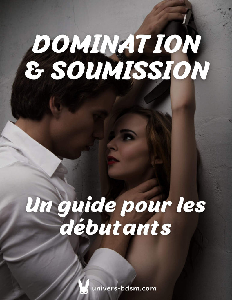 Guide sur la Domination et la Soumission