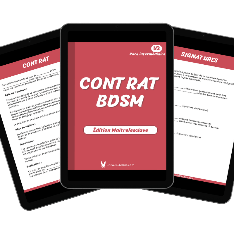 Contrat Maître et esclave simplifié