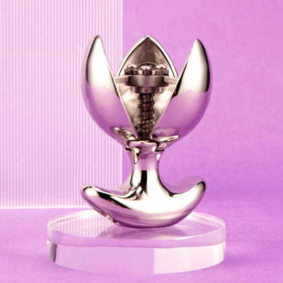 Plug Anal carteur | Univers BDSM Plug Anal carteur | Univers BDSM