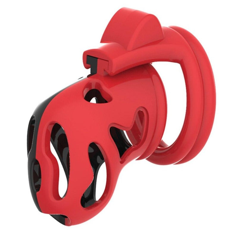 cage-de-chastete-double-face