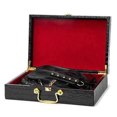 Kit BDSM luxueux