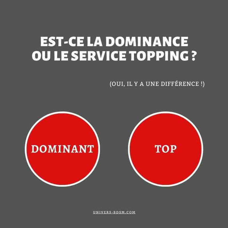 Switching 101 + Dominance et Service Topping